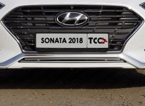 Обвес для HYUNDAI Sonata 2018-2020 Решетка радиатора нижняя 12 мм